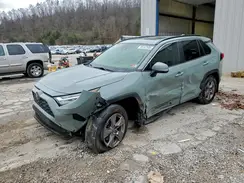 JTMP1RFV9PD097768 2023 TOYOTA RAV 4