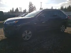 JTMP1RFV9PJ041718 2023 TOYOTA RAV 4