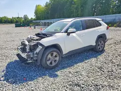 JTMP1RFV9RD108366 2024 TOYOTA RAV 4