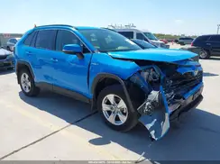 JTMR6RFV1LD004519 2020 TOYOTA RAV 4