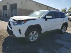 JTMR6RFV2LD005999 2020 TOYOTA RAV 4