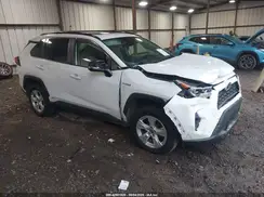 JTMR6RFV3LD001248 2020 TOYOTA RAV 4