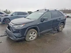 JTMR6RFV4LD004871 2020 TOYOTA RAV 4