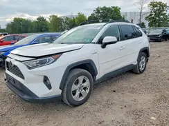 JTMR6RFV7LD004637 2020 TOYOTA RAV 4