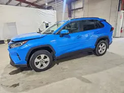 JTMR6RFV7MD503620 2021 TOYOTA RAV 4