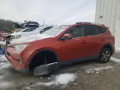JTMRFREV0GD180145 2016 TOYOTA RAV 4