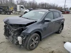 JTMRFREV0HD199151 2017 TOYOTA RAV 4