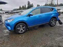 JTMRFREV0HJ105965 2017 TOYOTA RAV 4