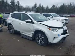 JTMRFREV0HJ704123 2017 TOYOTA RAV 4