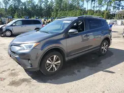 JTMRFREV0HJ715705 2017 TOYOTA RAV 4