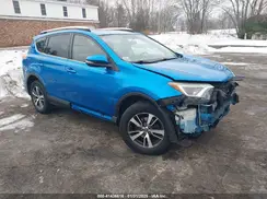 JTMRFREV1GJ094019 2016 TOYOTA RAV 4