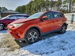 JTMRFREV1GJ101843 2016 TOYOTA RAV 4