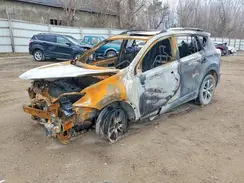 JTMRFREV1HD202414 2017 TOYOTA RAV 4