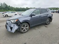 JTMRFREV1HD205135 2017 TOYOTA RAV 4