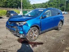 JTMRFREV1HJ111371 2017 TOYOTA RAV 4