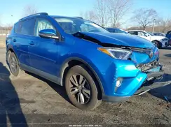 JTMRFREV1HJ172039 2017 TOYOTA RAV 4