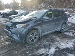 JTMRFREV1JJ203554 2018 TOYOTA RAV 4