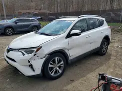 JTMRFREV2JJ748081 2018 TOYOTA RAV 4