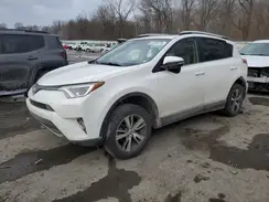 JTMRFREV4GJ071883 2016 TOYOTA RAV 4
