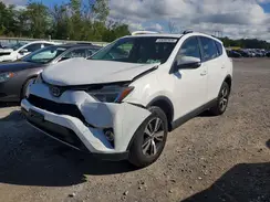 JTMRFREV4HD202987 2017 TOYOTA RAV 4