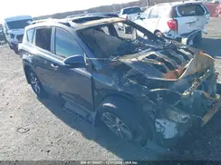 JTMRFREV4HJ122994 2017 TOYOTA RAV 4