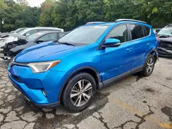 JTMRFREV5HJ134135 2017 TOYOTA RAV 4