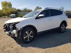 JTMRFREV6GJ101269 2016 TOYOTA RAV 4