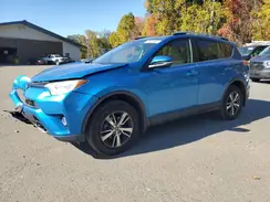 JTMRFREV6HJ159402 2017 TOYOTA RAV 4