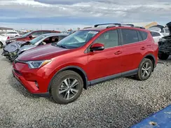 JTMRFREV6HJ169167 2017 TOYOTA RAV 4