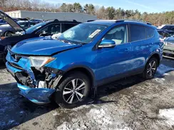 JTMRFREV6HJ172537 2017 TOYOTA RAV 4