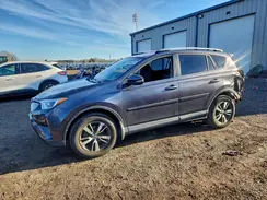 JTMRFREV6HJ702411 2017 TOYOTA RAV 4