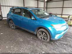 JTMRFREV7HD207536 2017 TOYOTA RAV 4