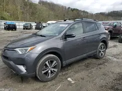 JTMRFREV7HJ116199 2017 TOYOTA RAV 4