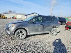 JTMRFREV8HJ153407 2017 TOYOTA RAV 4