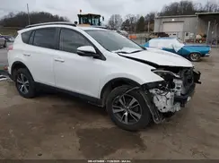 JTMRFREV9HD203116 2017 TOYOTA RAV 4