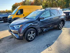 JTMRFREV9HJ704069 2017 TOYOTA RAV 4