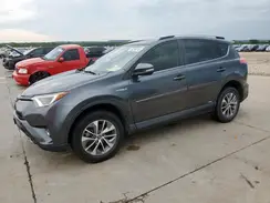 JTMRJREV0GD003030 2016 TOYOTA RAV 4