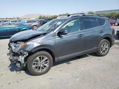 JTMRJREV0HD088856 2017 TOYOTA RAV 4
