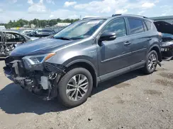 JTMRJREV0HD135206 2017 TOYOTA RAV 4