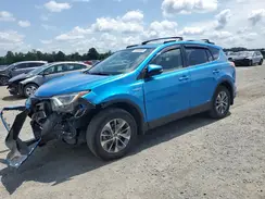 JTMRJREV0HD146836 2017 TOYOTA RAV 4