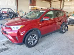 JTMRJREV0JD259224 2018 TOYOTA RAV 4