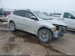 JTMRJREV1GD003229 2016 TOYOTA RAV 4