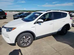 JTMRJREV1GD029183 2016 TOYOTA RAV 4