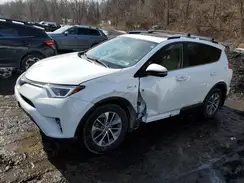 JTMRJREV1GD036845 2016 TOYOTA RAV 4