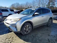 JTMRJREV1GD044041 2016 TOYOTA RAV 4