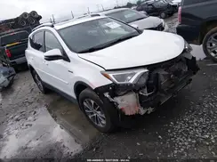 JTMRJREV1GD053984 2016 TOYOTA RAV 4