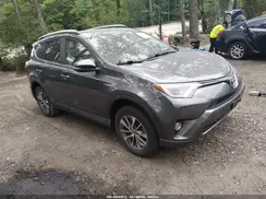 JTMRJREV1GD056965 2016 TOYOTA RAV 4