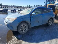 JTMRJREV1HD061830 2017 TOYOTA RAV 4