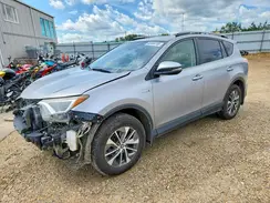 JTMRJREV1HD063951 2017 TOYOTA RAV 4