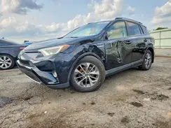 JTMRJREV1HD081625 2017 TOYOTA RAV 4